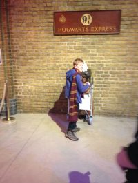 Harry Potter World 